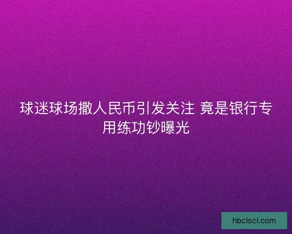 球迷球场撒人民币引发关注 竟是银行专用练功钞曝光