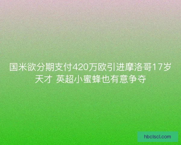 国米欲分期支付420万欧引进摩洛哥17岁天才 英超小蜜蜂也有意争夺
