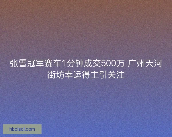 张雪冠军赛车1分钟成交500万 广州天河街坊幸运得主引关注